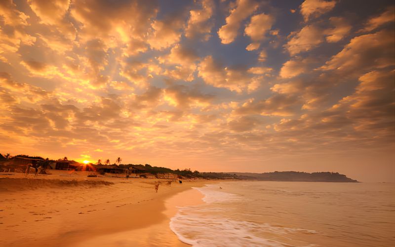 North & South Goa Discovery Tour